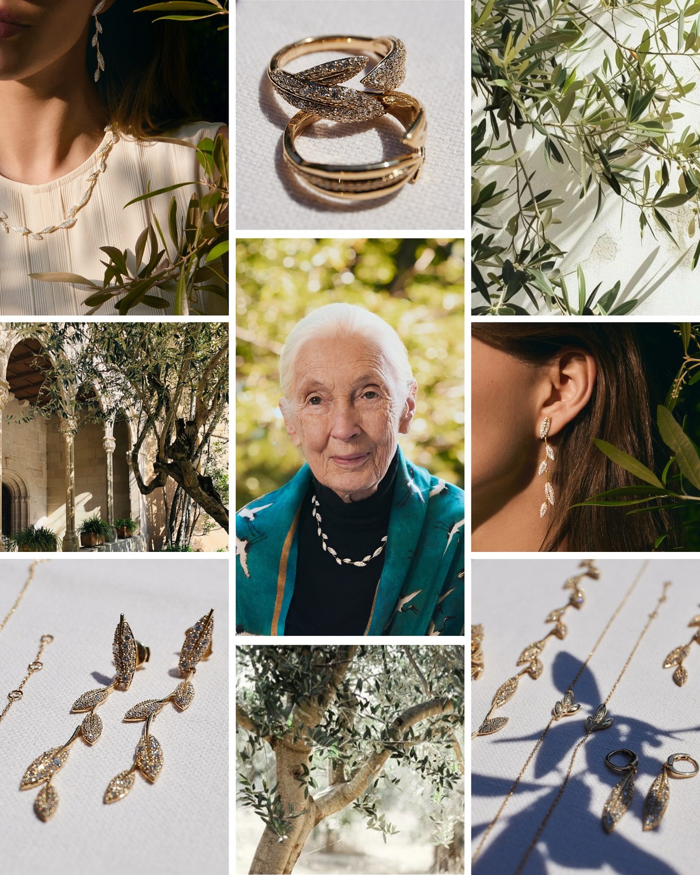 Brilliant Earth and Jane Goodall frame