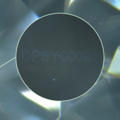 2021_6_2_Opsydia1_closeup.png