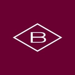 Borsheims_logo.jpeg