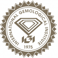 IGI_Logo.png
