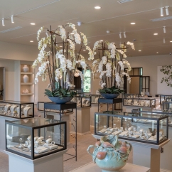 McCaskill_and_Company_Fine_Jewelry_new_store_interior.jpg