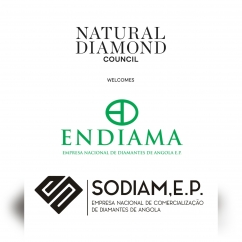 NDC new partnership jan 2026