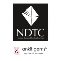 NDTC_and_Ankit_Gems_partnership.png