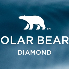 Polar_Bear.jpg