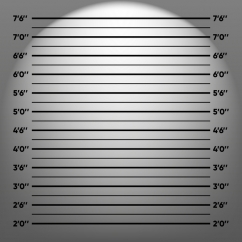 Police lineup mugshot