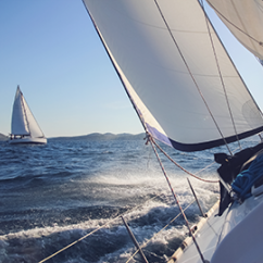 Sailing_Adobe_Stock