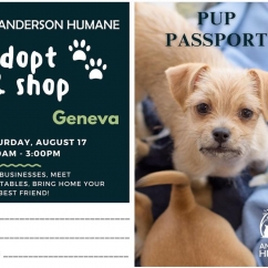 State_Street_Jewelers_Dog_Adoption_Event.jpg