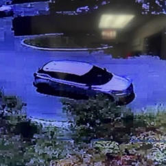 Tampa smash and grab suspect car