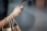 a_person_doing_some_shopping_and_holding_phone.jpg