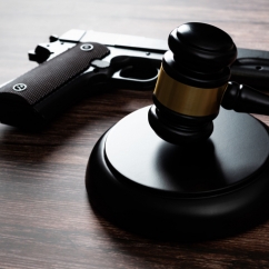 gun_and_gavel_in_a_picture.jpg