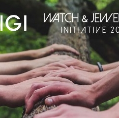 igi-partnership-wji-2030_cropped.jpg