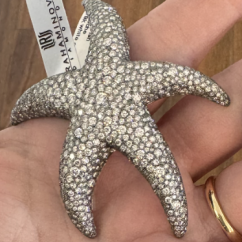 rahaminov_starfish_brooch.png